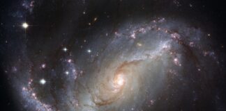 Cărți SF. Top cele mai bune cărți science fiction Carti SF