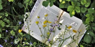 Cărți de Aprilie. Recomandări cărți 2021 Carti de aprilie carti bune de citit
