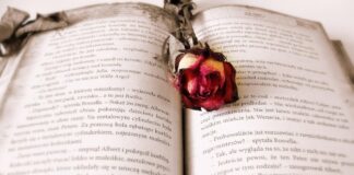 Cărți Usborne (6) Pentru copii de 13 ani + carti usborne