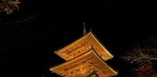 Citate „Templul de aur” (Yukio Mishima) citate celebre templul de aur